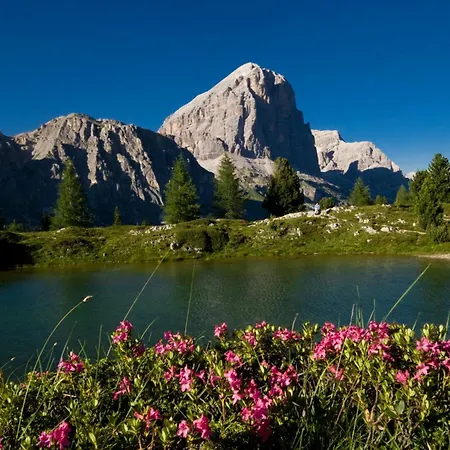 Ciasa Vervei Hotel Cortina d'Ampezzo